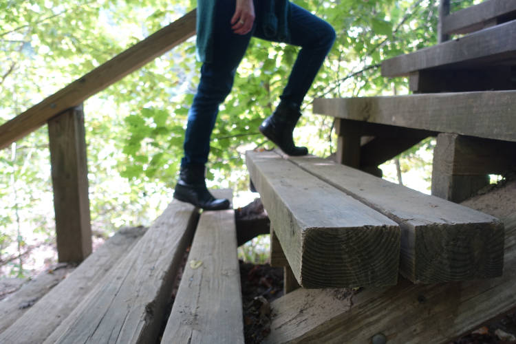 Image was here of two legs walking up wooden steps with greenery in the background.