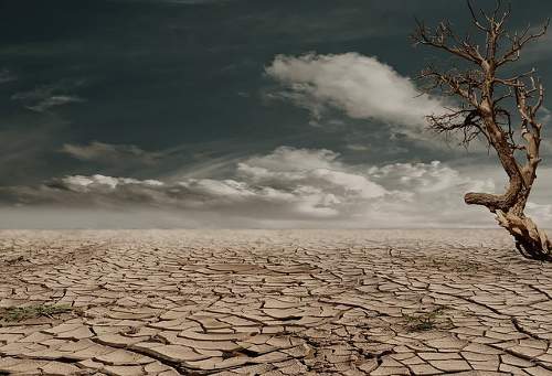 An image was here of cracked dry ground with a dead tree, barren and lifeless resembling famine conditions.